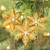 Three Gold Poinsettia Handcrafted Beaded Christmas Ornaments 'Golden Poinsettia'