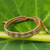 950 Silver Accent Wristband Braided Bracelet from Thailand 'Forest Thicket in Tan'