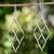 Diamond Shape Openwork Dangle Earrings from Thailand 'Swirling Diamond'