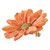 Natural Aster Flower Brooch in Tangerine from Thailand 'Let It Bloom in Tangerine'