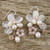 Rose Quartz and Cultured Pearl Dangle Earrings from Thailand 'Elegant Flora'
