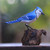 Hand-Painted Wood Blue Jay Sculpture from Bali 'Perched Blue Jay'