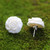 Hand-Carved Bone Rose Button Earrings from Bali 'Fascinating Roses'