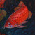 Signed Arowana-Themed Painting from Bali '9 Arowana II'