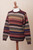 Men's Striped 100 Alpaca Pullover Sweater from Peru 'Autumnal Andes'