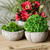 Round Reclaimed Stone Flower Pots from Mexico Set of 3 'Striped Bowls'