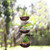 Tiered Hanging Coconut Shell Plant Pot 'Vertical Garden'