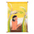 Batik Cotton Wall Hanging with Teakwood Display Rods 'Bathing Lady'