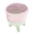 Hand-Painted Ceramic Flower Pot in Pink and Green Tones 'Pink Roots'