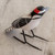 Guatemala Handcrafted Ceramic Hairy Woodpecker Figurine 'Hairy Woodpecker'