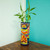 Cylindrical Talavera-Style Ceramic Vase from Mexico 'Cylindrical Talavera'