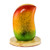 Mango Napkin Holder Crafted from Pine 'Ripe Mango'
