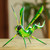 Wood Alebrije Cricket Sculpture in Green from Mexico 'Green Good Luck Cricket'