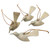 Hand Crafted Hibiscus Wood Bird Ornaments Set of 4 'Take Flight'