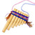 Traditional Bamboo Antara Panpipe with Andean Stripe Case 'Melodies of the Empire'
