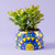 Blue Ceramic Planter with Sun Motif from India 'Garden Sunshine'