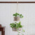 Handcrafted Ivory Cotton Hanging Planter from India 'Jungle Baskets'