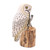 Hand Made Suar Wood Owl Statuette from Java 'Snow Owl'