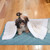 Quilted Pet Blanket in Vanilla with Cotton Piping from India 'Classic Vanilla Dreams'