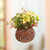 Handcrafted Coconut Shell Hanging Planter from Bali 'Tropical House in Turtle'