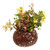 Handcrafted Coconut Shell Hanging Planter from Bali 'Tropical House in Turtle'