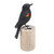 Hand-Carved and Hand-Painted Teak  Suar Wood Bird Statuette 'The Red-Winged Blackbird'