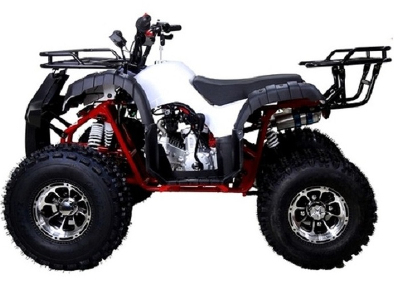 tao tao atv 1205cc