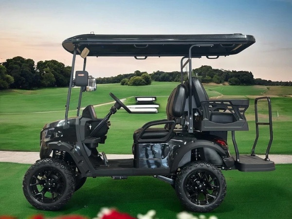DYNAMIC GT4 GOLF CART 48V 5KW MOTOR Lowest Price Atv