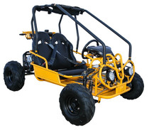 Kandi USA 125cc Kids Go Kart with Automatic Transmission w/Reverse!