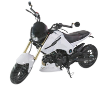 2024 MODEL ICE BEAR FUERZA 125CC AIR COOLED, 4 SPEED (PMZ125-1)