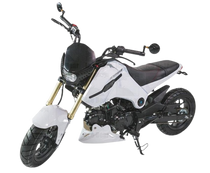ICE BEAR FUERZA 125CC AIR COOLED, 4 SPEED (PMZ125-1) MOTORCYCLE