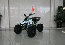 RPS High End JET 8 (EGL MOTOR) 125cc ATV RPS High End JET 8 (EGL MOTOR) 125cc ATV