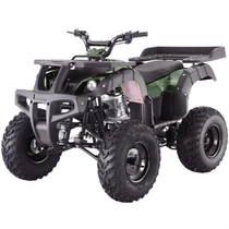 ASSEMBLED FULL SIZE TAOTAO ATA 250D Huge 23 inch tires ATV