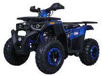 TaoTao G200 Utility ATV, Air Cooled, 4-Stroke, 1-Cylinder, Automatic- Blue TaoTao G200 Utility ATV, Air Cooled, 4-Stroke, 1-Cylinder, Automatic- Blue