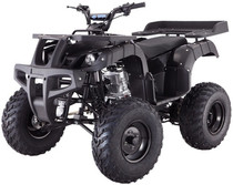 Taotao RHINO250 200CC, Air Cooled, 4-Stroke, 1-Cylinder, Manual Transmission - Fully Assembled and Tested Taotao RHINO250 200CC, Air Cooled, 4-Stroke, 1-Cylinder, Manual Transmission - Fully Assembled and Tested