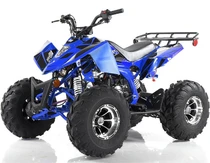Nwe Apollo Sniper 125cc DLX ATV, Full-Automatic With Reverse ( BLUE COLOR )