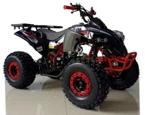 Trailmaster Regency MAX 125cc Youth Mid Size Fully Automatic Race Style. Upgraded Suspension-CARB - Red
