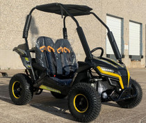 TrailMaster Cheetah 6 Kids Go Kart, 5.5hp E-start Remote Start/Kill with Reverse - Yellow TrailMaster Cheetah 6 Kids Go Kart, 5.5hp E-start Remote Start/Kill with Reverse - Yellow