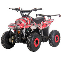 DongFang 110cc (DF110AVA) Gas ATV With 6-inch Wheel, Electric Start, Remote Shut Off Switch DongFang 110cc (DF110AVA) Gas ATV With 6-inch Wheel, Electric Start, Remote Shut Off Switch