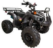 Vitacci New Rider-12 125Cc Atv, Automatic, 8" tire - Foot Shifter - Fully Assembled and Tested Vitacci New Rider-12 125Cc Atv, Automatic, 8" tire - Foot Shifter - Fully Assembled and Tested