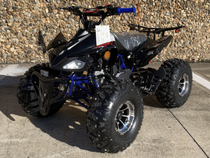 RPS CRT125-5A 125cc ATV - air-cooled, 4-stroke, Automatic Transmission