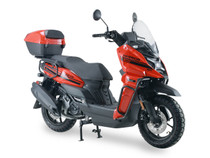 Ice Bear Warrior (PMZ200-1) 200cc EFI Scooter, GY6 Engine, 13" Alloy Rims, Dual Sport Tires, LED Lights, Trunk Ice Bear Warrior (PMZ200-1) 200cc EFI Scooter, GY6 Engine, 13" Alloy Rims, Dual Sport Tires, LED Lights, Trunk