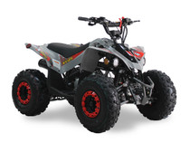 Ice Bear SY125 YX 125cc | 3-Speed Semi-Automatic with Reverse