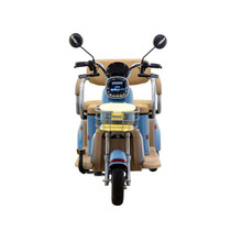 Massimo MGC E-TRIKE MINI 800W Electric Trike with 30-Mile Range and Cargo Bed