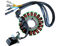 Hawk 250 DLX Stator for Sale – EFI Magneto Coil Assembly for 250cc Dirt Bike