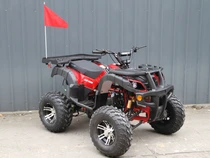 RPS Desert 200 Full Size Adult ATV 149cc Automatic with Reverse
