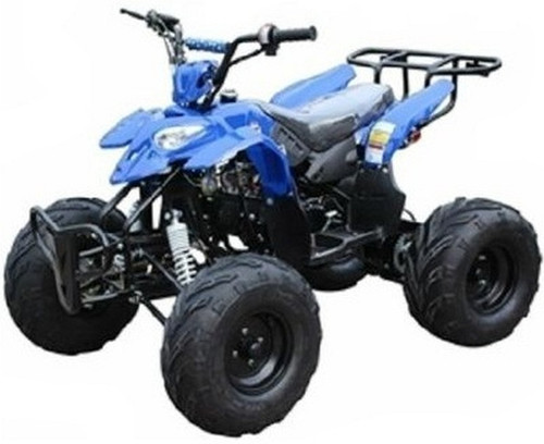 ICE BEAR ''Big Raptor'' 125cc ATV Automatic with Reverse ICE BEAR ''Big Raptor'' 125cc ATV Automatic with Reverse