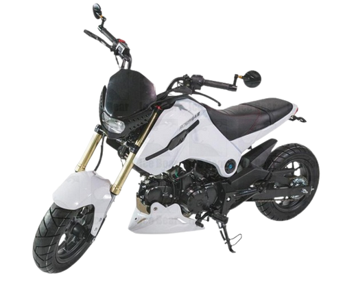 2024 MODEL ICE BEAR FUERZA 125CC AIR COOLED, 4 SPEED (PMZ125-1)