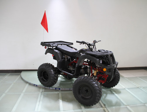 RPS 200cc Utility ATV Fully Automatic with Reverse, Hydraulic Disc Brake