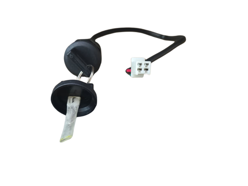 2pcs of Ignition Key Switch Replacement for Sunl Taotao Coolster 50cc 70cc 90cc 110cc 125cc Chinese ATV Dirt Bike Scooter Parts